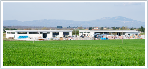 Centro edliizia Acquapendente ( loc Campo morino )